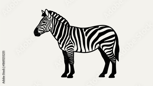 A detailed black and white illustration of a zebra standing on a plain background.