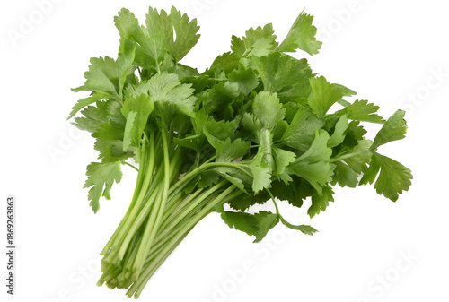 Celery isolated on white background