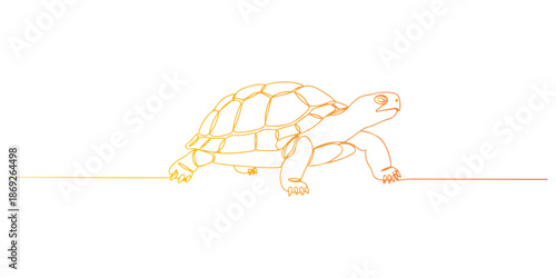 Continuous one line of a turtle walking slowly, animal world and wildlife, drawn vector illustration.