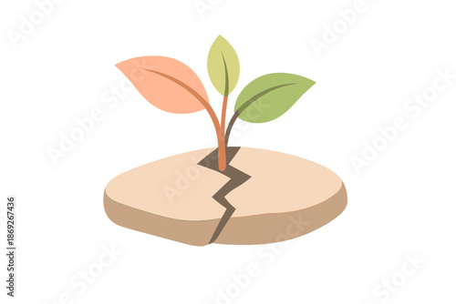 Sprout growing through cracked earth, symbolizing hope and resilience