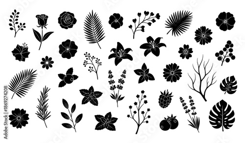 Decorative botanical symbol set black flowers exotic leaves and branches vector illustration
