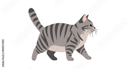 Gray tabby cat with dark stripes walking calmly against a clean white background in a simple flat illustration style.