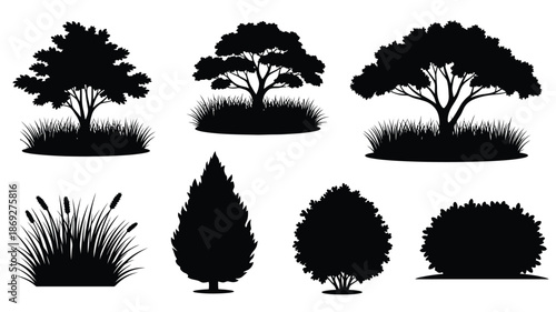 Black and white illustration of various trees and bushes a striking silhouette