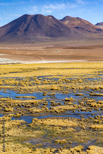 Colorful wetland landscape in front of mountains near San Pedro de Atacama
