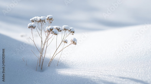 minimal winter background soft light white snow clean composition
