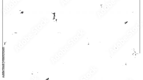 White vintage film texture with dust particles, soft scratches, subtle grain, and light burn imperfections inspired by 8mm analog footage. Minimal retro cinematic overlay ideal for loopable background