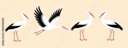 stork set isolated on white background, a top ranked vector collection featuring detailed stork illustrations, perfect for wildlife, nature, baby themes, and professional design projects.