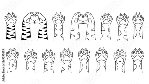Cat Legs and Paws Vector – Pattern Recognition Puzzle with Stylized Fur Designs for Observational Games, Pet-Themed Graphics, and Educational Visual Projects
