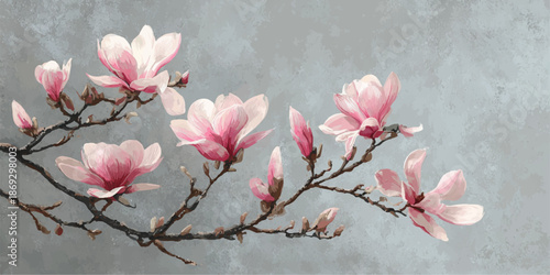 Delicate pink magnolia blossoms on branch