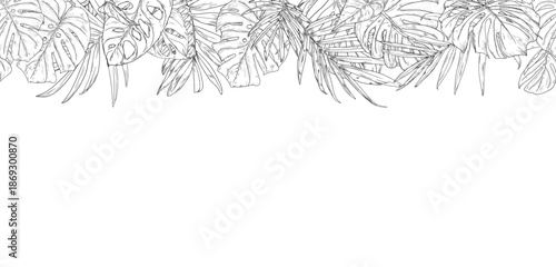 Palm and monstera leaves, seamless border, black and white sketch. Vector illustration. Tropical tree leaves isolated on white background. Green lush wildlife plants and fresh jungle foliage.