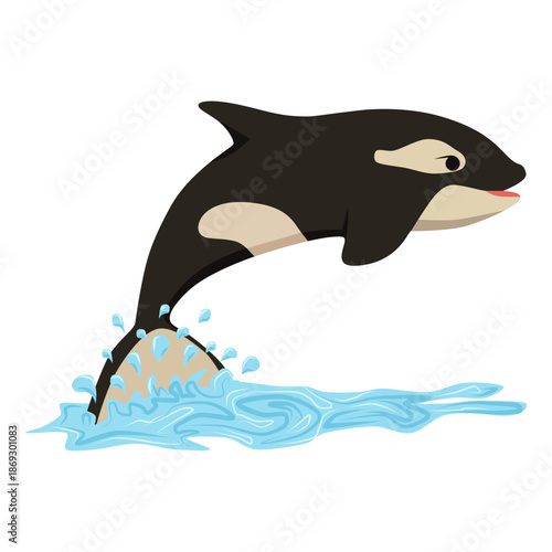 Cartoon killer whale orca vector illustration