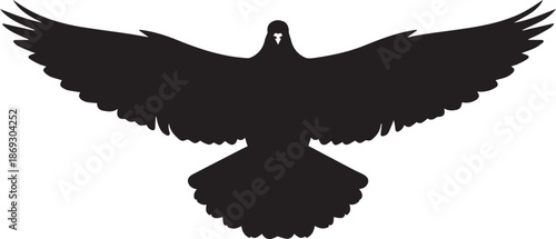 Soaring bird silhouette