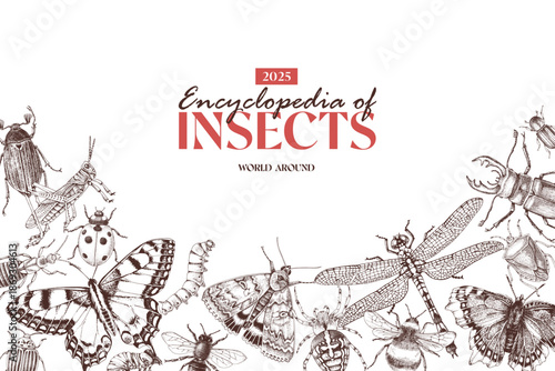 Natural biology banner with insects
