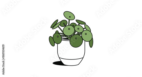 Pilea peperomioides or Chinese money plant in a simple white pot with its characteristic round green leaves on long stems on white.