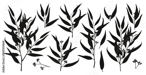 Eucalyptus branches silhouettes collection vector
