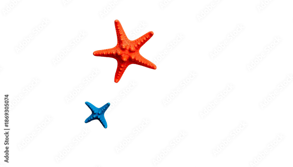 Obraz premium A tropical marine starfish and a delicate seashell are isolated on white beach sand, capturing a peaceful summer nature scene of ocean life for a spa or travel vacation