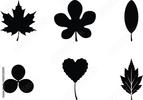 Flat vector black silhouette icons set of six different leaf shapes including maple clover heart shaped and oval leaf isolated on white background