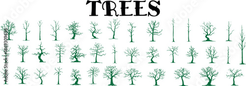 Diverse collection of bare tree silhouettes in green and black with varied shapes and branches