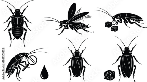 Black silhouette vector art set showing cockroach insect with magnifying glass flying wings dice and water drop detail isolated on white background