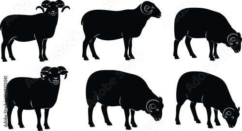 Silhouette vector art showcasing six different sheep and ram poses including standing facing forward and profile with head raised and grazing on white background