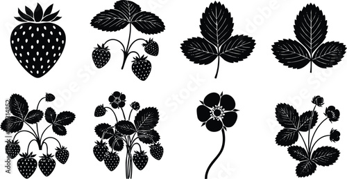 Black silhouette flat design strawberry fruit detailed leaf flower cluster isolated on white background simple natural organic illustration set with ripe berries and delicate petals for garden decor