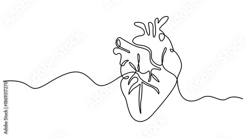 Single continuous line art anatomical human heart silhouette. A single line drawing of a realistic human heart. Healthy medicine concept design one sketch outline drawing vector illustration
