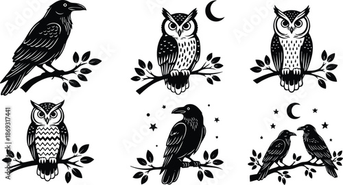 Black and white vector art of owls and ravens perched on leafy branches with crescent moon and stars night nature theme detailed illustration collection