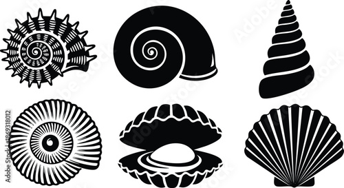Black silhouette vector art of six distinct seashell types including spiral conch and scallop shell with open clam showing pearl on white background detailed design collection