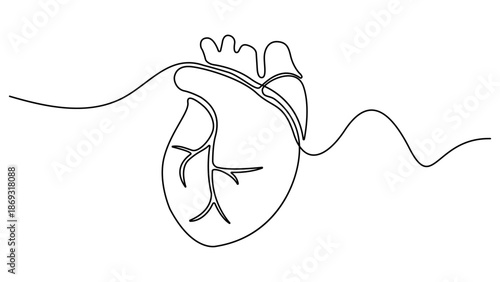 Single continuous line art anatomical human heart silhouette. A single line drawing of a realistic human heart. Healthy medicine concept design one sketch outline drawing vector illustration
