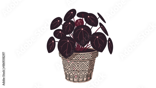 Stylish illustration of a Pilea Peperomioides, or Chinese money plant, with dark leaves, in a decorative tribal-patterned pot.