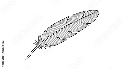 Vintage and highly detailed illustration of a single bird feather, rendered in a classic black and white engraving or etching style.