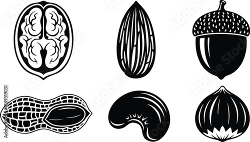 Black and white vector art of walnut almond acorn peanut cashew hazelnut isolated icons detailed natural seeds and nuts collection in simple flat design style for packaging