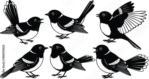Black and white vector art showing six detailed birds in various poses standing and flying isolated on white background with visible feather patterns and expressive beaks in close up style