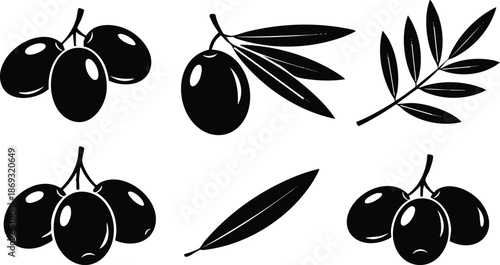 Black olive fruits and leaves vector set with shiny highlights isolated on white background simple monochrome flat style botanical design elements collection