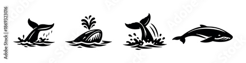 Silhouettes of aquatic animals including whales and dolphins on dark background