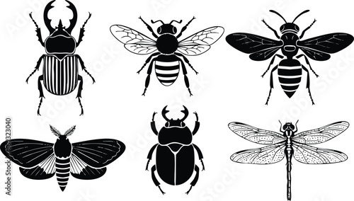 Detailed black silhouette vector art of six different insect species including beetle dragonfly moth and bees isolated on white background with intricate wing and body patterns
