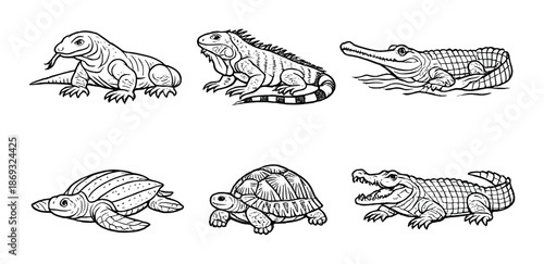 Black and white illustrations of reptiles and amphibians on gray background