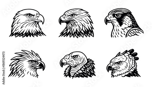 Black and white eagle illustrations set on gray background