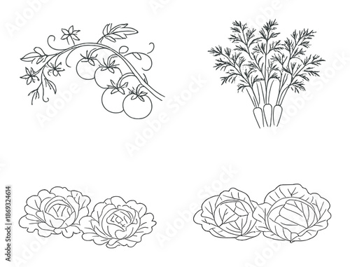 Monochrome vegetable and floral outlines on gradient background