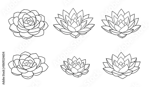 Monochrome lotus and succulent flower designs on gradient background