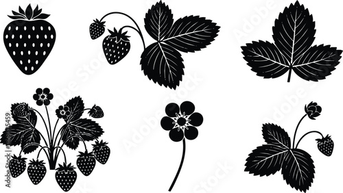 Detailed black silhouette vector art of strawberry fruits leaves and flowers showcasing various angles including closeup singular strawberry and multiple berries on stems with foliage