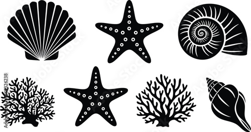 Black silhouette vector art of various sea shells starfish and coral icons arranged on white background illustrating marine life diversity and ocean nature shapes