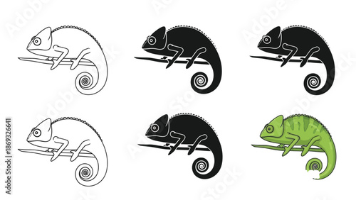 Set of six chameleon illustrations in different styles outline, solid black, grayscale, and full color green perched a branch
