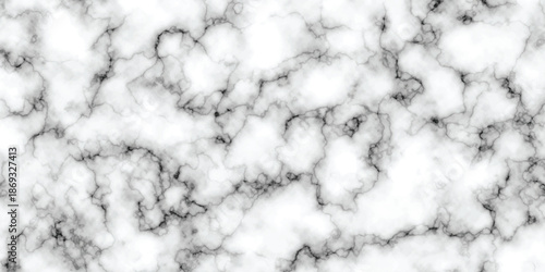 abstract interior beautiful black and white Carrara slab interior tiles gradient luxury ceramic wall and floor kitchen texture background