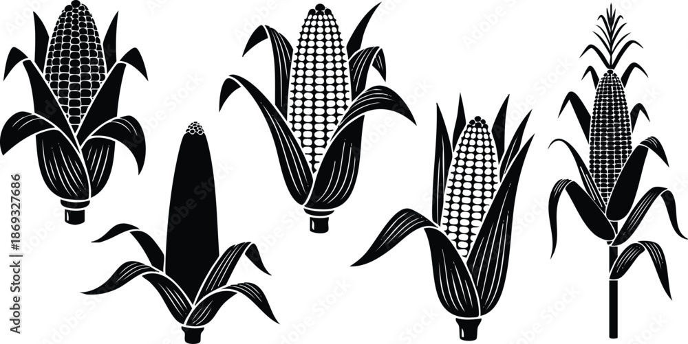 Fototapeta premium Black silhouette vector art showing five different corn cobs with husks in various views including close up front and side angles against white background