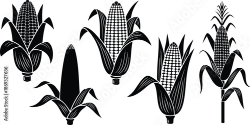 Black silhouette vector art showing five different corn cobs with husks in various views including close up front and side angles against white background