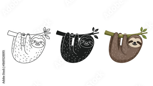 Set of three sloths hanging a branch outline drawing, silhouette and colored illustration