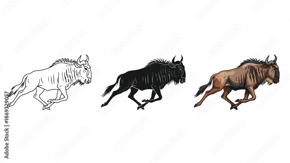 Fototapeta premium Set of three illustrations of a running wildebeest outline, silhouette and full color drawing of african antelope
