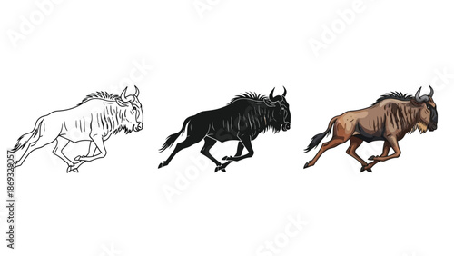 Set of three illustrations of a running wildebeest outline, silhouette and full color drawing of african antelope