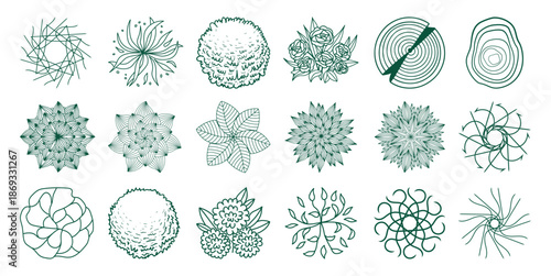 Collection of green line botanical and abstract circular motifs